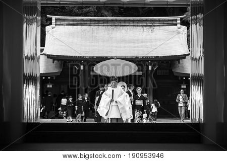 Shinto Wedding At Meiji Shrine, Tokyo