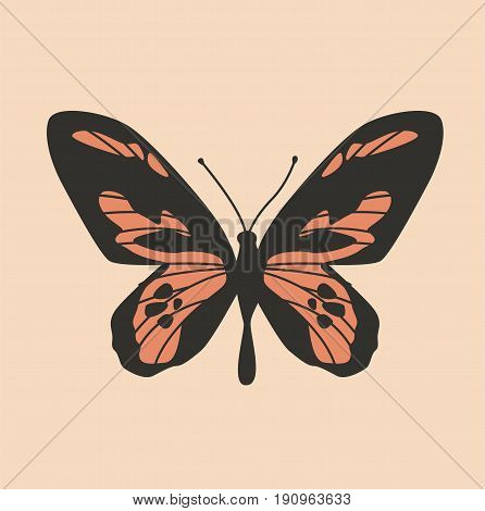 Colorful butterfly. Butterfly design. Cute butterfly Vector stock.
