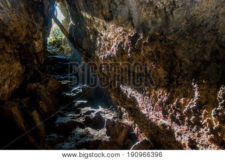 Beautiful dark Cave in Rangitoto Island, made of volcanic formations in New Zealand with some roots in the upper part of the cave.