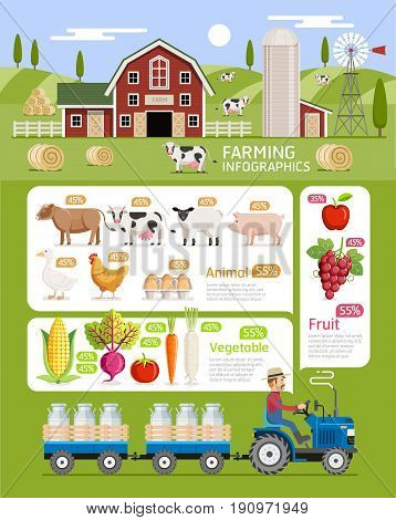 Farming infographic elements template. Vector illustration. Can be used for workflow layout banner diagram number options step up options web design timeline