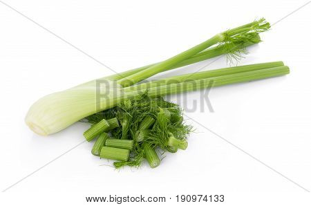 closeup fresh fennel bulb isolated on white background