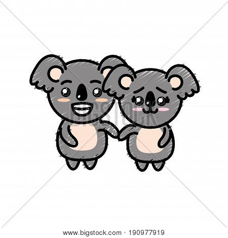 cute couple koala wild animal with beautiful expression vector illustration