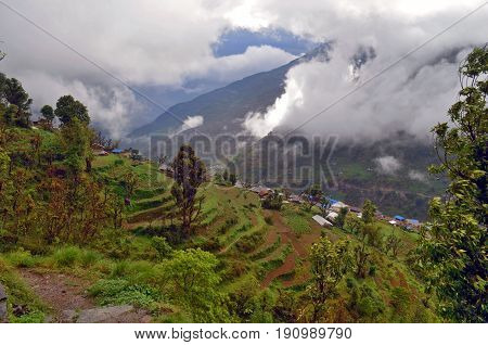 Agriculture terra es green rice field mountain landscape in Nepal, Annapurna region. Village Landruk