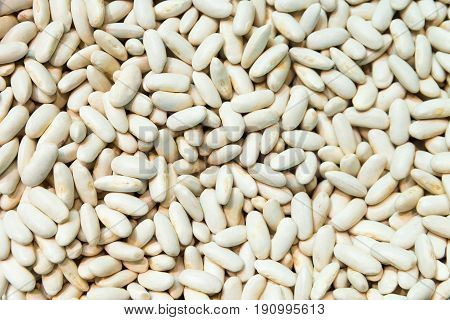 Asturianas White Beans.Beans background. Natural organic beans
