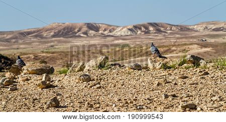 The Makhtesh Gadol or Large Crater, nature reserve in Negev desert, Israel