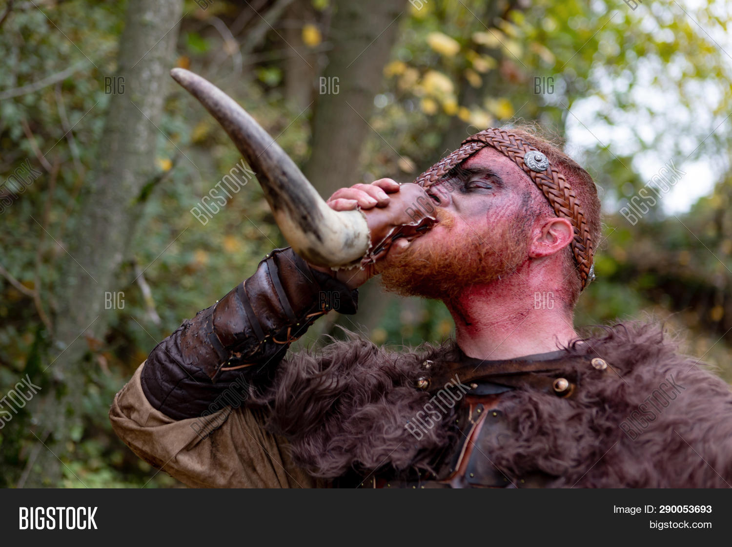 Real Viking Real Image & Photo (Free Trial) Bigstock
