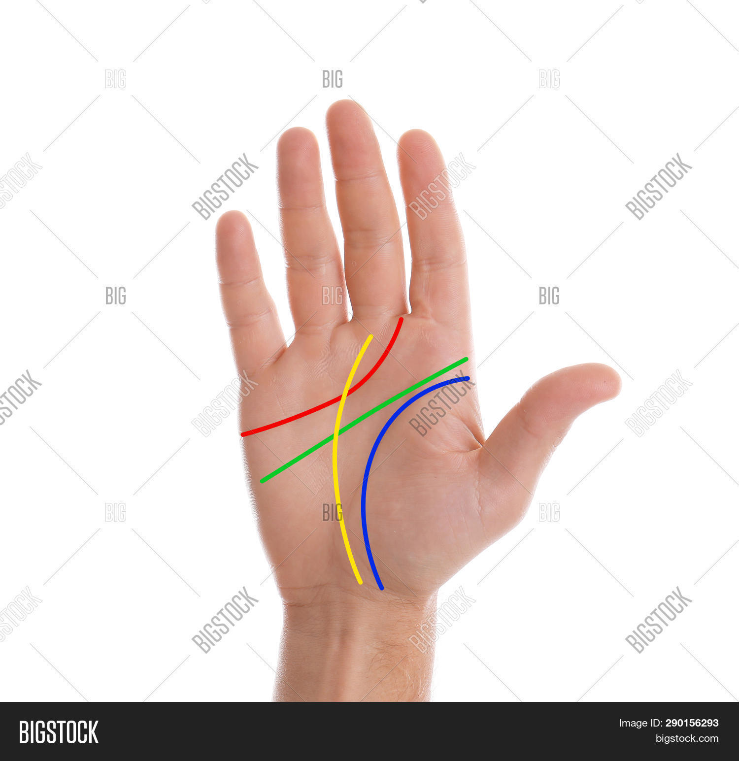 Man Lines On Hand Image & Photo (Free Trial) Bigstock