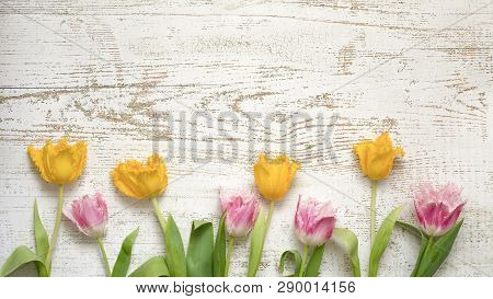 Top View Of Bright Beautiful Tulips On The White Wooden Background, Flat Lay.