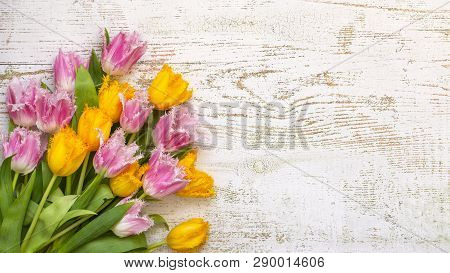 Top View Of Bright Beautiful Tulips On The White Wooden Background, Flat Lay.