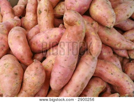 Patate dolci
