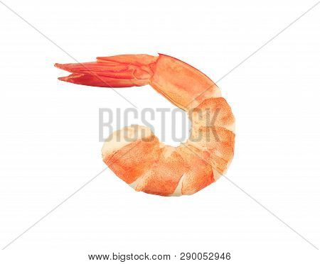 Red Cooked Prawn Or Tiger Shrimp Isolated On White Background As Package Design Element
