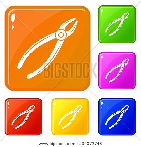 Tooth Pliers Icons Set Collection Vector 6 Color Isolated On White Background