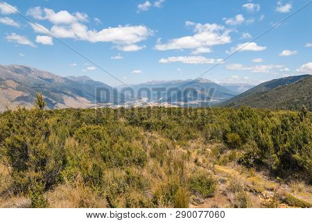 Typical High Country In Marlborough Region, South Island, New Zealand