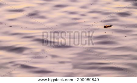 The Surface Of The Gray Water Has A Small Bottle Floating.