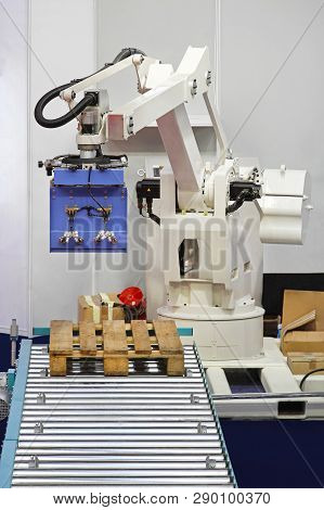 Automated Robotic Palletizer For Boxes At Conveyor Rollers Warehouse