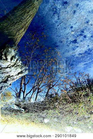 Rotate To Get The Real Pic Scene