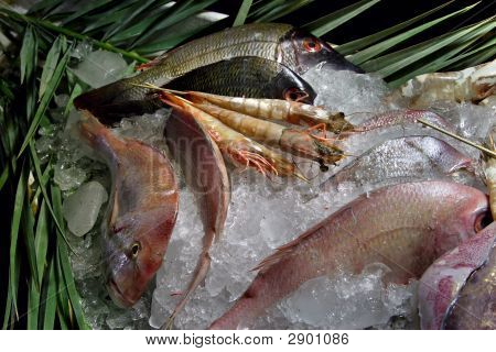 Морепродукты льда