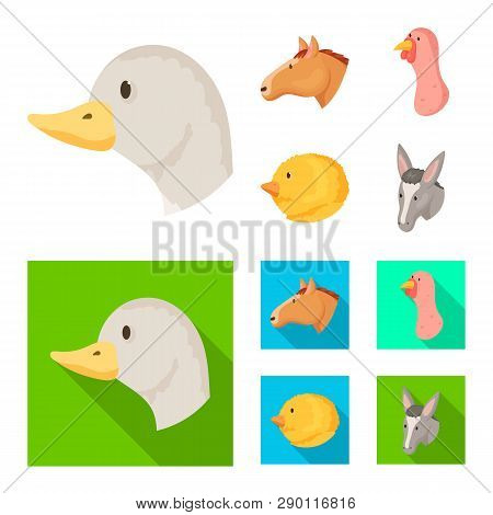 Vector Design Of Agriculture And Breeding Logo. Collection Of Agriculture And Organic  Vector Icon F