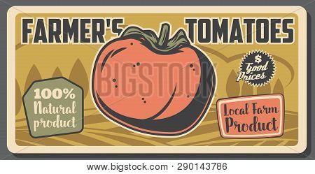 Agriculture And Farming, Tomato Vegetable, Local Farm Product Market. Vector Crop Or Vegetable Harve