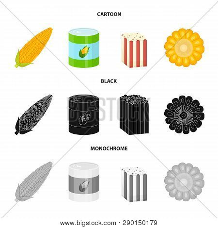 Isolated Object Of Cornfield And Vegetable Logo. Collection Of Cornfield And Vegetarian Vector Icon 