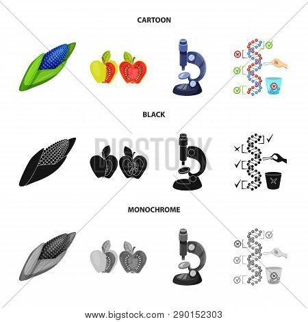Vector Design Of Test And Synthetic Icon. Set Of Test And Laboratory Vector Icon For Stock.