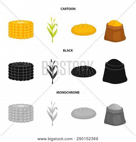 Vector Illustration Of Cornfield And Vegetable Logo. Set Of Cornfield And Vegetarian Stock Vector Il