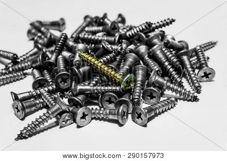 Golden New Modern Twinfast Screw On A Pile Of Gray Old Used Wood Screws