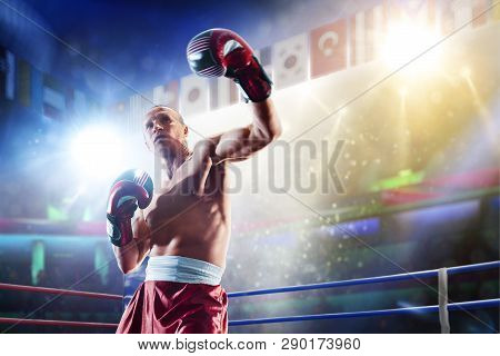 Box Professional Figters On The Ring In Lights