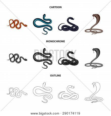 Vector Design Of Mammal And Danger Logo. Set Of Mammal And Medicine Stock Symbol For Web.