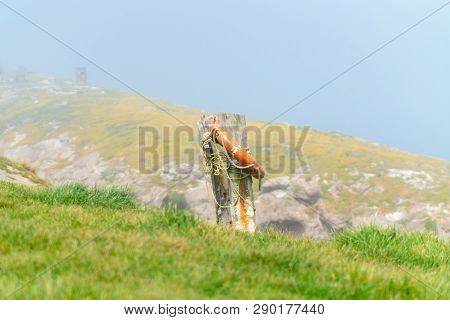 Old Pole With Life-buoy And Rope In Morning Mist Near Coastal Cliff At Katiki Point Moeraki New Zeal