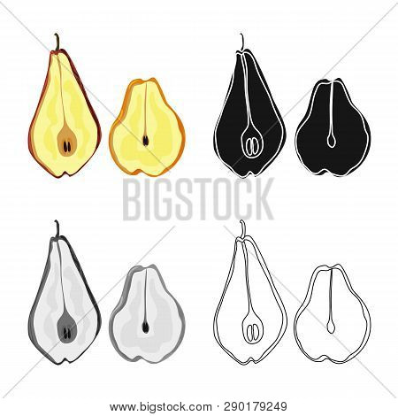 Isolated Object Of Pear And Dry Icon. Set Of Pear And Organic Stock Vector Illustration.
