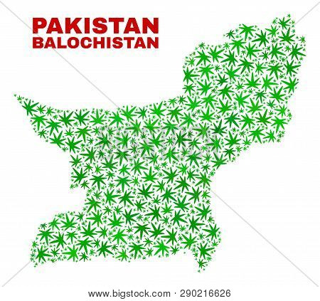 Vector Cannabis Balochistan Province Map Collage. Template With Green Weed Leaves For Weed Legalize 