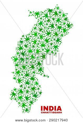Vector Cannabis Chhattisgarh State Map Collage. Template With Green Weed Leaves For Hemp Legalize Ca