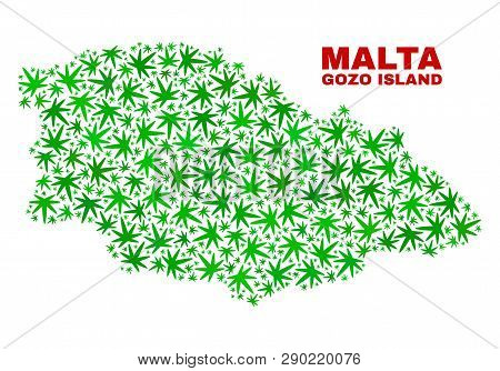 Vector Cannabis Gozo Island Map Collage. Template With Green Weed Leaves For Weed Legalize Campaign.