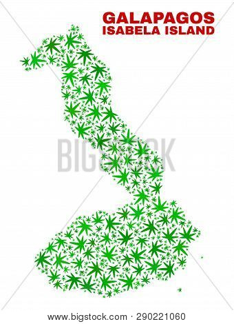 Vector Cannabis Isabela Island Of Galapagos Map Mosaic. Concept With Green Weed Leaves For Cannabis 
