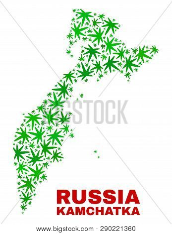 Vector Marijuana Kamchatka Map Collage. Template With Green Weed Leaves For Cannabis Legalize Campai