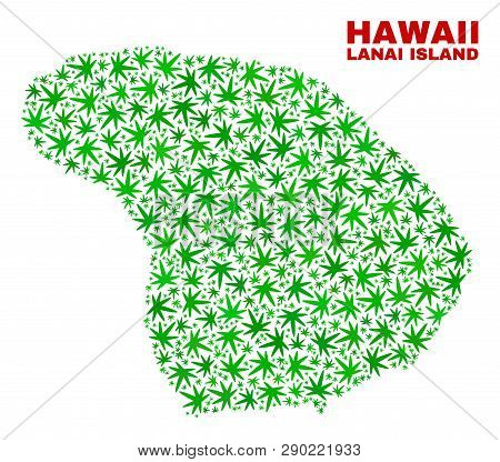 Vector Marijuana Lanai Island Map Mosaic. Concept With Green Weed Leaves For Hemp Legalize Campaign.
