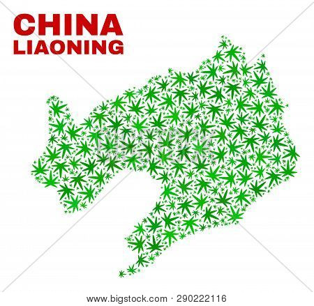 Vector Cannabis Liaoning Province Map Mosaic. Template With Green Weed Leaves For Cannabis Legalize 