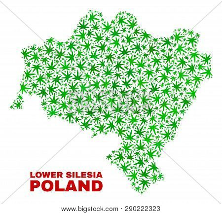 Vector Cannabis Lower Silesia Province Map Mosaic. Template With Green Weed Leaves For Weed Legalize