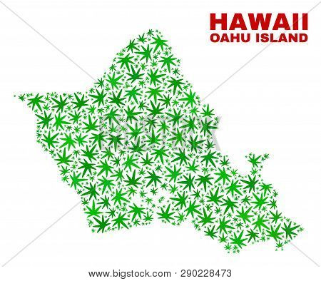 Vector Marijuana Oahu Island Map Collage. Template With Green Weed Leaves For Marijuana Legalize Cam