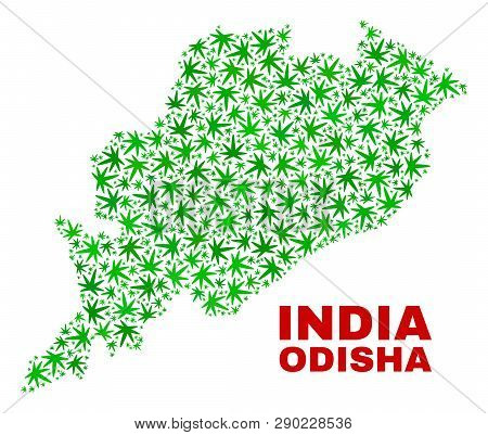 Vector Cannabis Odisha State Map Mosaic. Template With Green Weed Leaves For Cannabis Legalize Campa