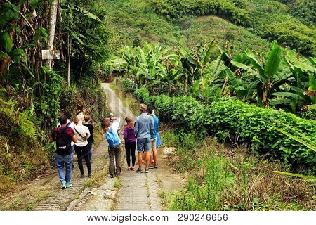 QUINDIO, COLOMBIA, 16 AUGUST, 2018 : Tourists taking part at a guided coffee tour in Quindio, Colombia, South America