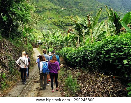 QUINDIO, COLOMBIA, 16 AUGUST, 2018 : Tourists taking part at a guided coffee tour in Quindio, Colombia, South America