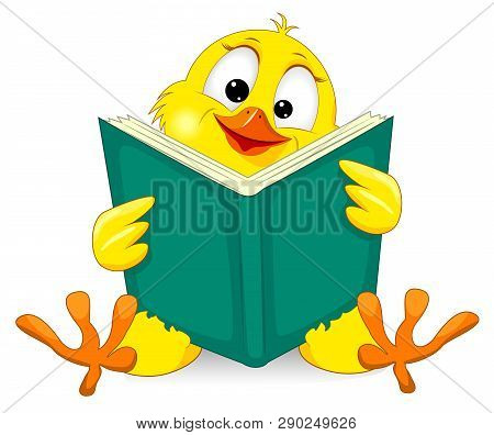 Little Yellow Chicken With A Book. Cartoon Chick On A White Background.