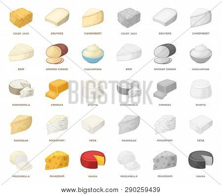 Different Kind Of Cheese Cartoon, Mono Icons In Set Collection For Design.milk Product Cheese Vector
