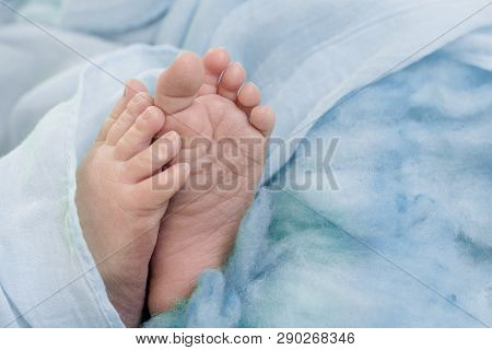 Feet Of A Newborn Baby, Toes  And Nails Of A Child, The First Days Of Life After Birth, Scaly Skin O
