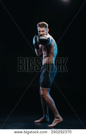 Muscular Shirtless Strenuous Boxer In Boxing Gloves Doing Punch On Black