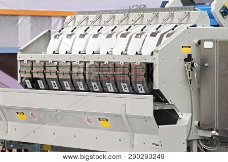 Multi Head Hopper Weigher Machine For Food Packing