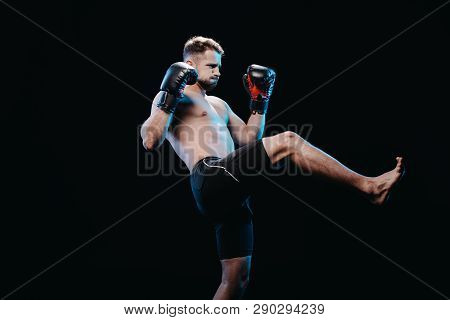 Muscular Barefoot Strenuous Boxer In Boxing Gloves And Shorts Doing Kick Isolated On Black