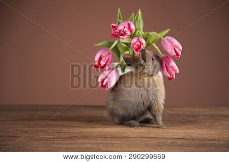 Easter Chickens In A Basket With Eggs. Ellow Easter Chickens In A Colorful Basket With Flowers.